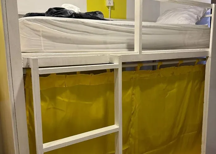 Hostel The Hive