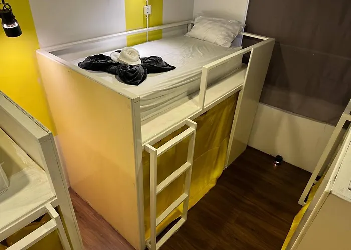 Hostel The Hive
