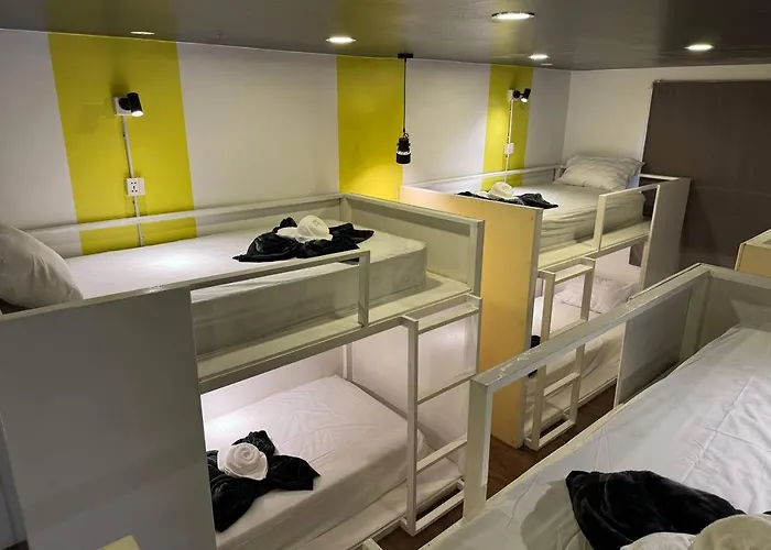 The Hive Hostel