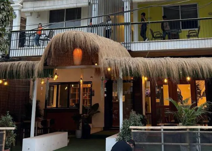 Hostel The Hive